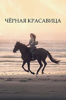 Постер Чёрная Красавица (Black Beauty)