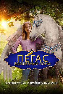 Постер Пегас: Волшебный пони (Pegasus: Pony with a Broken Wing)