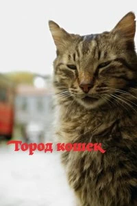 Постер Город кошек (Kedi)