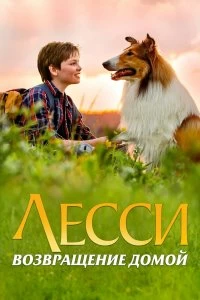 Постер Лесси. Возвращение домой (Lassie - Eine abenteuerliche Reise)