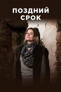 Сериал Поздний срок — постер