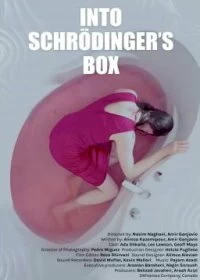 Постер Убийство Шрёдингера (Into Schrodinger's Box)