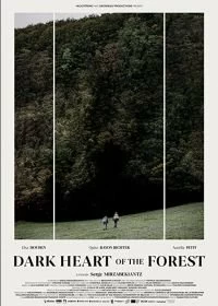 Постер Темное сердце леса (Le coeur noir des forêts)