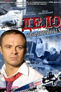 Сериал Дело Крапивиных — постер