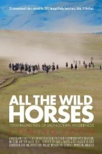 Постер Дикие лошади (All the Wild Horses)