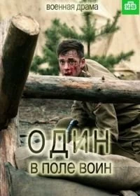 Сериал Один в поле воин — постер