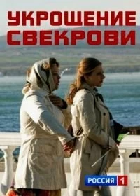 Сериал Укрощение свекрови — постер