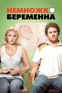 Постер Немножко беременна (Knocked Up)