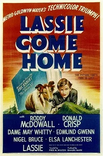 Постер Лесси возвращается домой (Lassie Come Home)