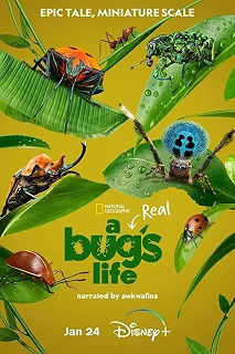 Постер Настоящая жизнь жука (A Real Bug's Life)